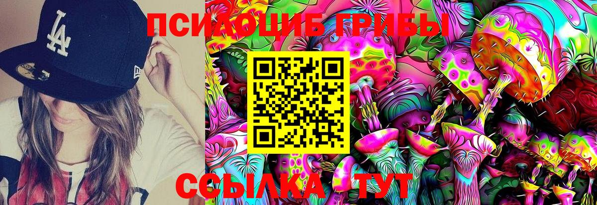 Галлюциногенные грибы Cubensis Гусиноозёрск