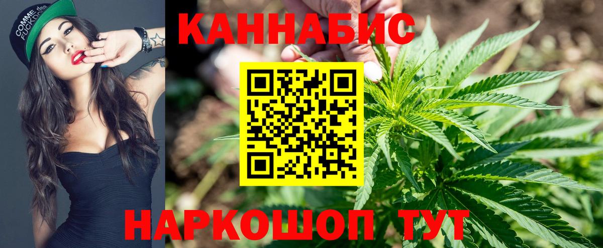 Канабис семена  Канабис White Widow  Бошки марихуана White Widow  Вход с VPN  Гусиноозёрск 